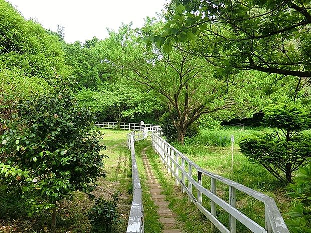 多摩美公園まで464m、多摩美ふれ森と、麻生区市民健康の森に隣接した多摩美公園。春になると桜で美しく彩られます。