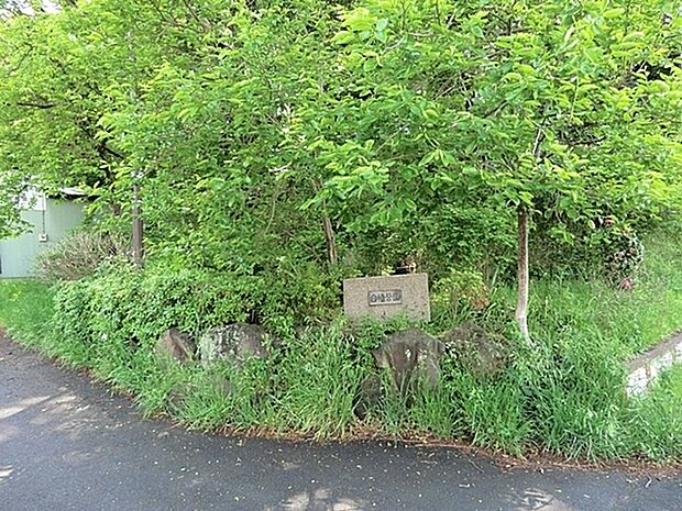 白幡公園まで517m、ログハウスのある公園。らせんすべり台、のぼり棒、地下迷路、図書コーナー、渡りネットなど雨の日でものびのび遊べます。