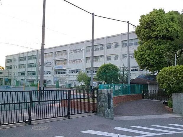 横浜市立三保小学校まで939m