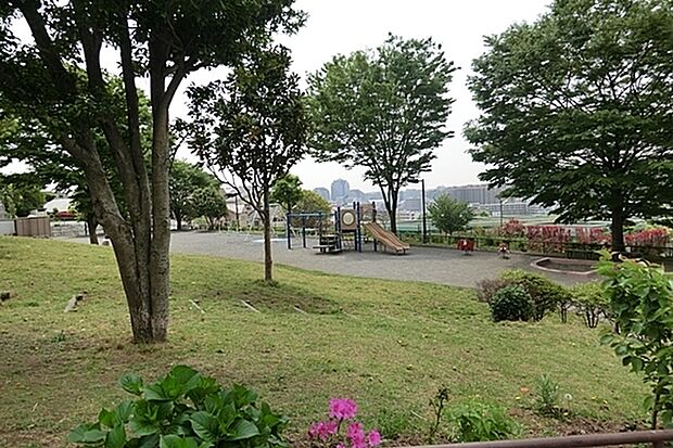 峰岡町三丁目公園まで513m、住宅街の夜景を楽しめる雰囲気の良い公園