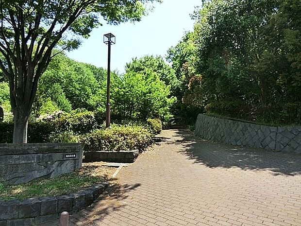 飯島南公園まで1362m、高台にあり、天気が良ければ富士山が見えることも。斜面に位置したこの公園には、所々に遊具が隠れています。