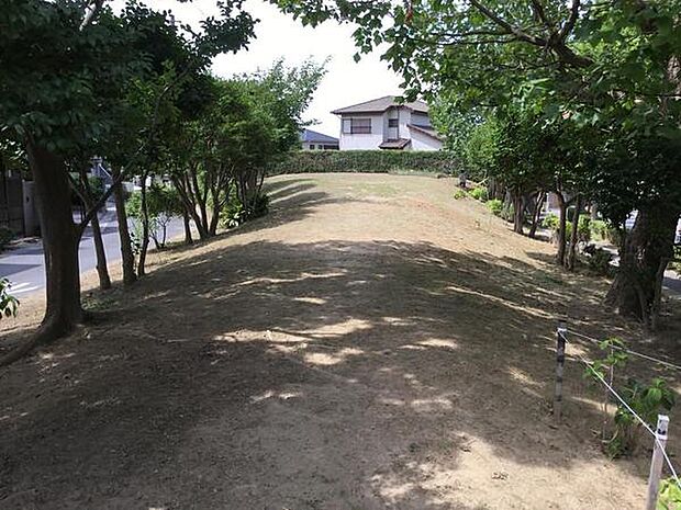 下麻生まつのき緑地まで1032m