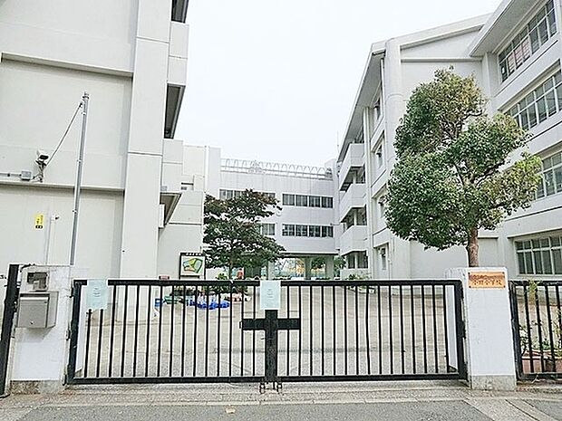 横浜市立小田小学校まで893m