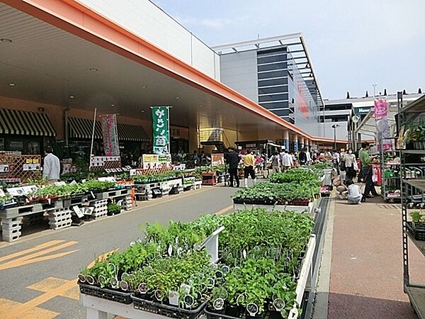 ホームズ新山下店まで739m、家具インテリアとホームセンター用品を販売する店舗。