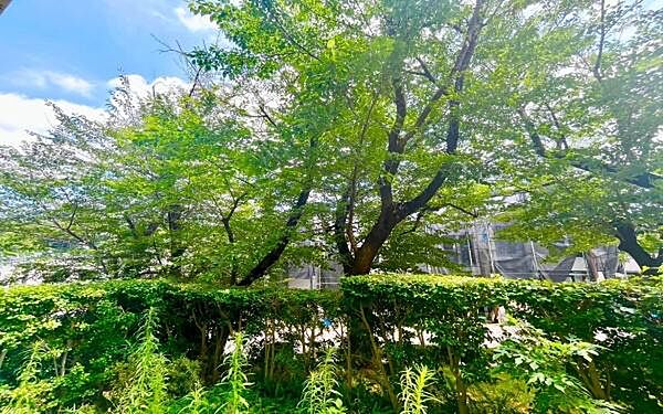《眺望》爽やかな青空と緑豊かな自然に囲まれた眺望良好地。