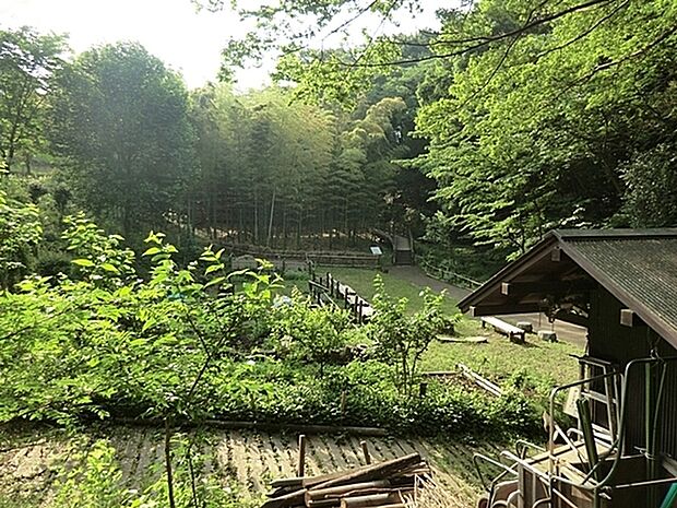 天王森泉公園まで1356m、おとなりの小さな牧場「飯田牧場」と合わせて楽しめる公園。