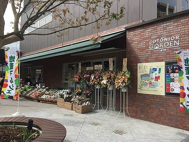 地産マルシェ新川崎店まで368m、地産マルシェ 生産者のみなさまが大切に育てた新鮮で安全な野菜を群馬や埼玉から毎日トラックを走らせてお届けしています。