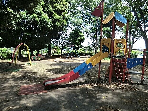 大熊町公園まで637m、杉山神社の中の公園です。鎮守の森の木漏れ日がきれいです。