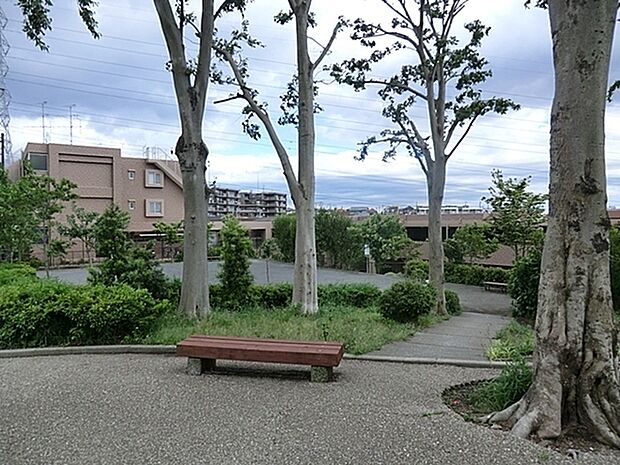 中沢町清水ケ丘公園まで665m、体育館、屋内温水プール、野球場、テニスコートなど様々なスポーツが楽しめます