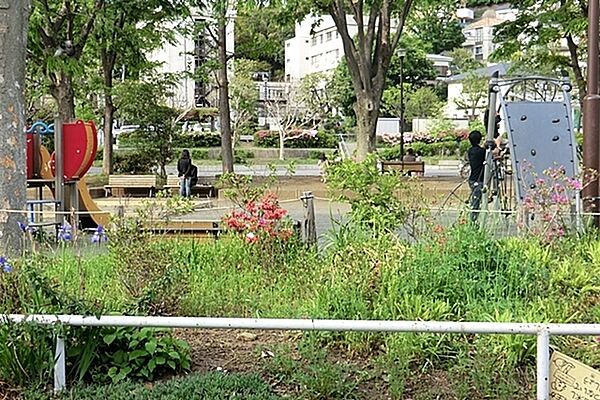 峰岡公園まで347m、隣の小学校の児童たちがよく遊んでいるにぎやかな公園　よく手入れされた花壇の花がきれいです