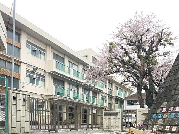 横浜市立相武山小学校まで445m