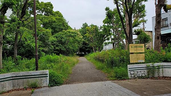 池上新町中公園まで916m