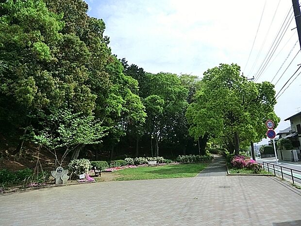 洋光台北公園まで391m、緑の多い園内は小さな雑木林を思わせる小高い丘もあり散策に良いです。遊具と広場があり近隣の子供たちに人気の公園です。