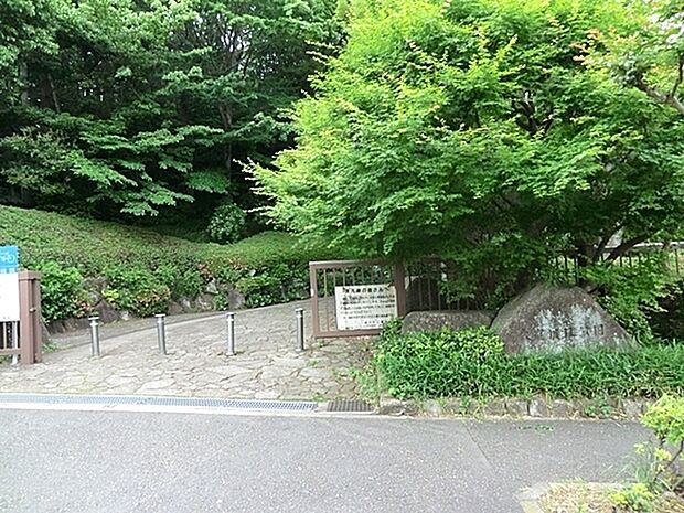 大庭城址公園まで677m、12世紀関東平氏の雄、大庭氏の拠を15世紀になって太田道灌が本格的に築造し、その後小田原北条氏が改修したと伝えられている