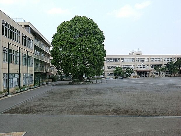 町田市立忠生小学校まで1160m