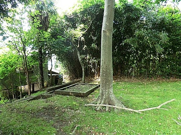 中横須賀公園まで900m
