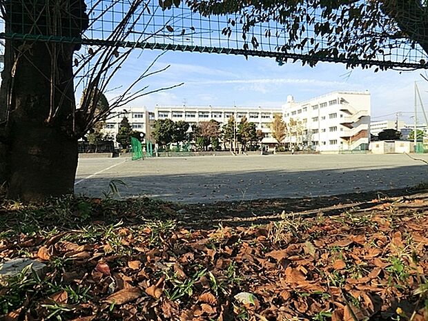 横浜市立大正中学校まで719m