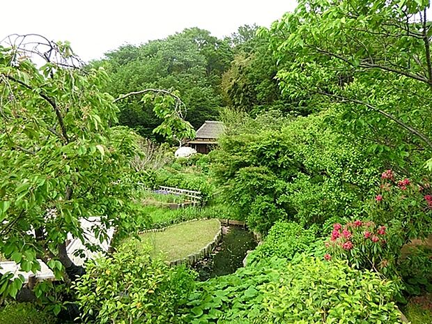 馬場花木園まで707m、豊かな緑に囲まれた和風の風致公園です。 茶室もあり句会や講演などのイベントも行われています。