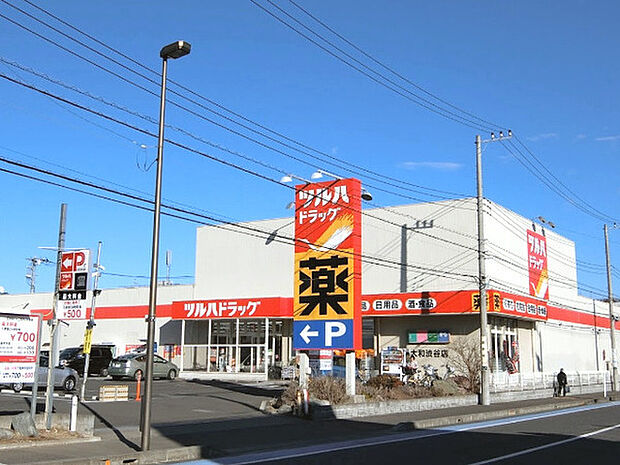 ツルハドラッグ大和渋谷店まで738m、高座渋谷駅近くにあるドラッグストア