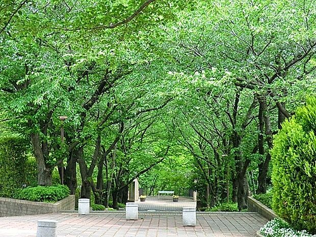 芹が谷公園まで1079m