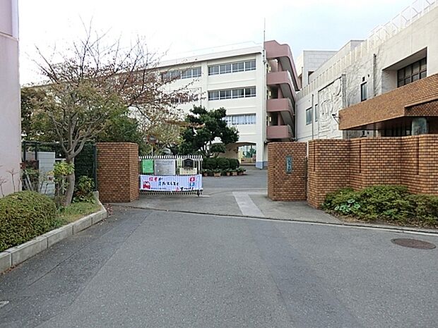 横浜市立八景小学校まで593m
