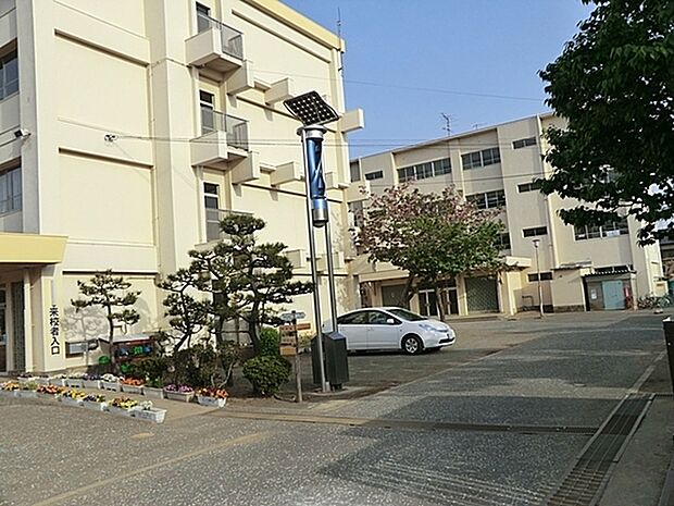 茅ヶ崎市立小和田小学校まで568m