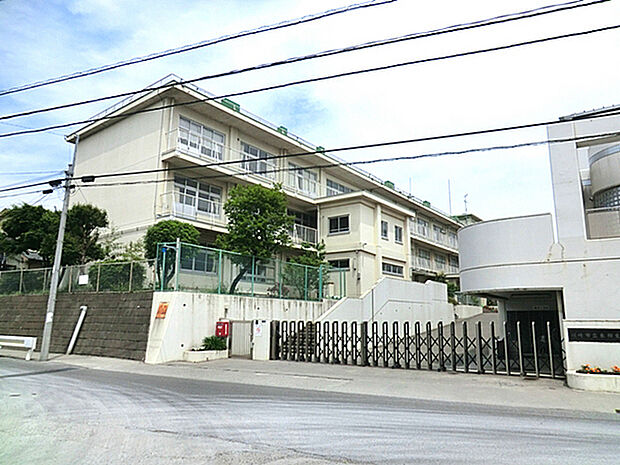 川崎市立東柿生小学校まで445m