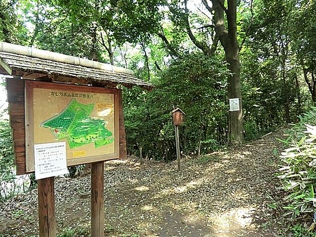 かしの木山自然公園まで523m