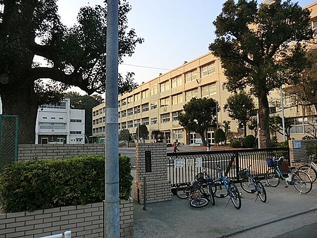 横浜市立新井小学校まで438m
