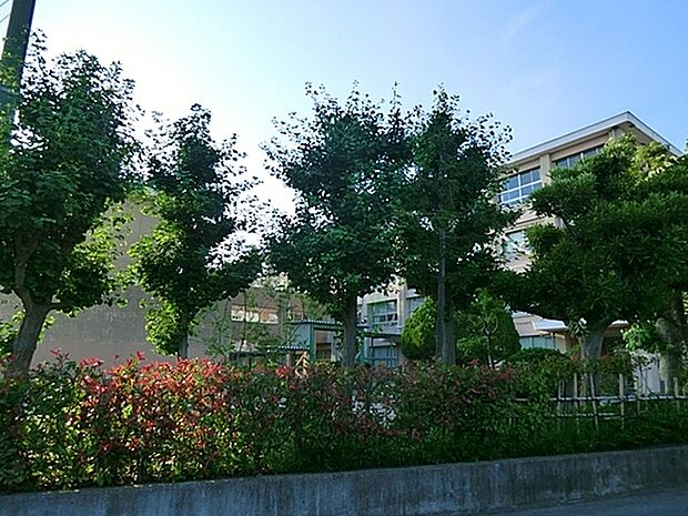 藤沢市立鵠沼中学校まで919m