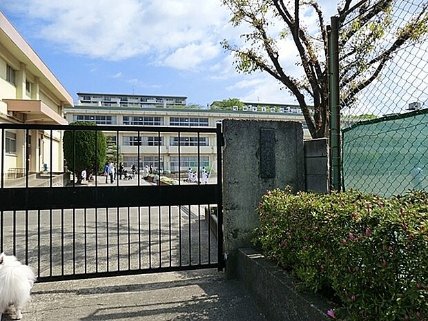 町田市立鶴川第三小学校まで696m