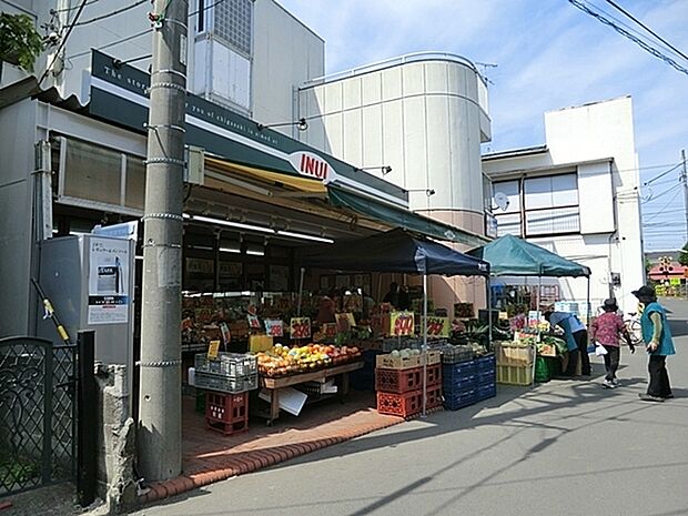 全日食チェーンイヌイ熊沢商店まで381m