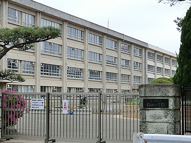 茅ヶ崎市立梅田小学校まで966m