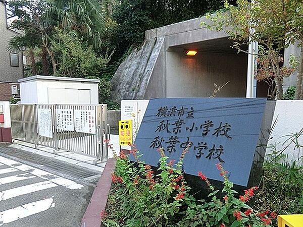 横浜市立秋葉中学校まで2316m、秋葉小学校と隣接しています