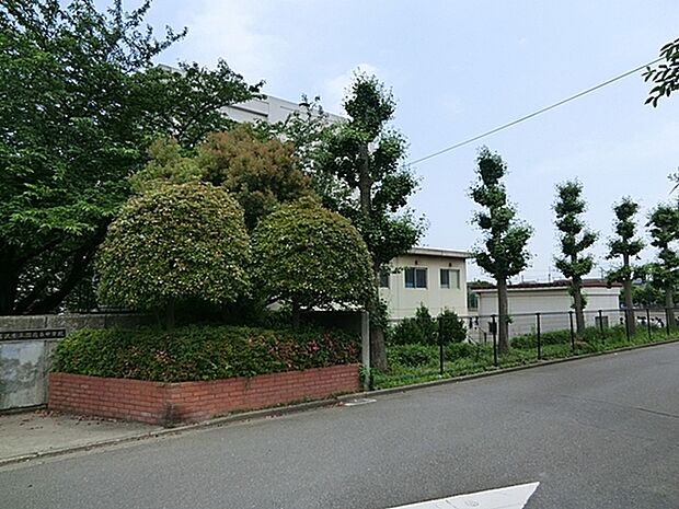 藤沢市立湘南台中学校まで1128m