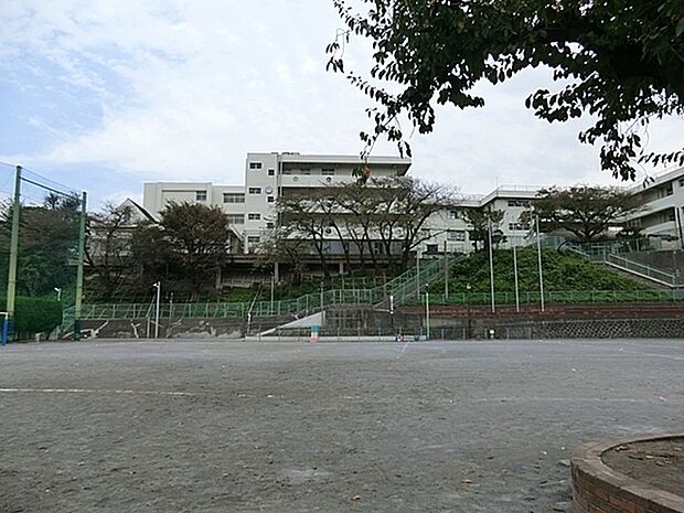 横浜市立屏風浦小学校まで1055m
