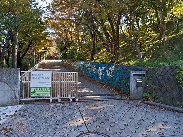 横浜市立仲尾台中学校まで559m