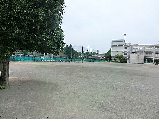 大和市立南林間小学校まで537m