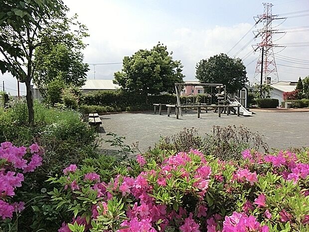 もみじ公園まで581m