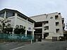 周辺：横浜市立森中学校まで561m