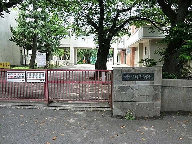 相模原市立清新小学校まで543m