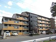 北越谷駅より徒歩14分 4階 築39年9ヶ月の賃貸物件