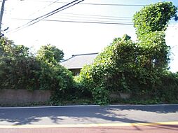 千葉県山武郡芝山町境