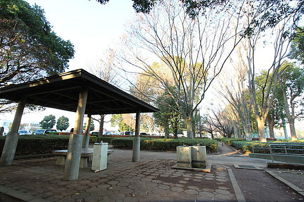 富里中央公園まで800m