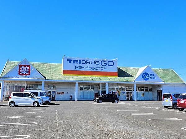 TRIDRUG GO 八街北店まで1328m