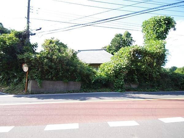 2025年9月27日撮影の写真です