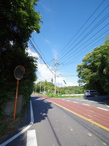 2025年9月27日撮影の写真です