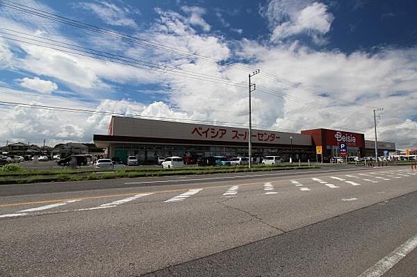 ベイシア Foods Park 大網白里店まで450m