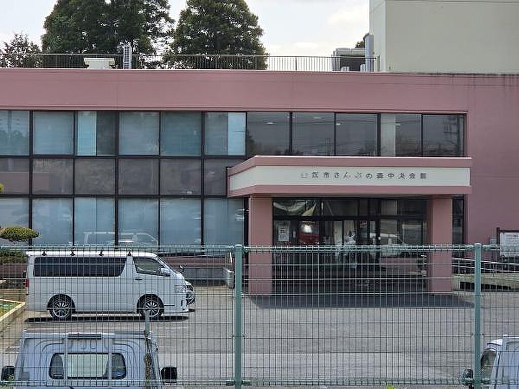Image 8