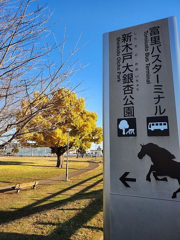 新木戸大銀杏公園まで950m